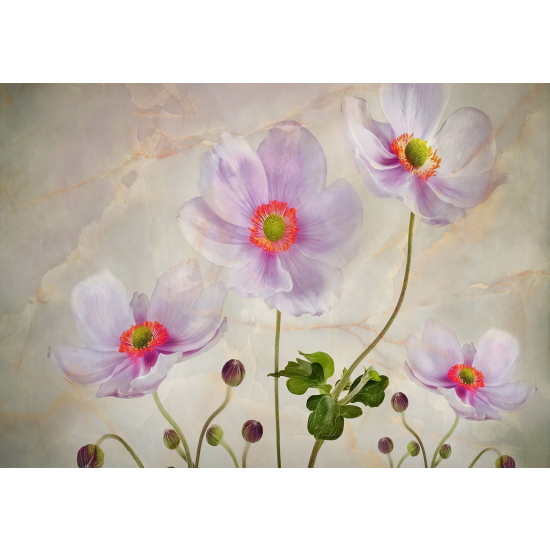 Papel pintado panorámico - Flores