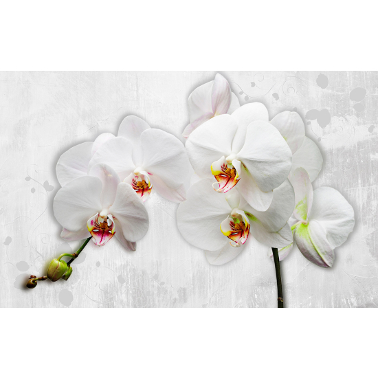 Papel pintado panorámico - Flores
