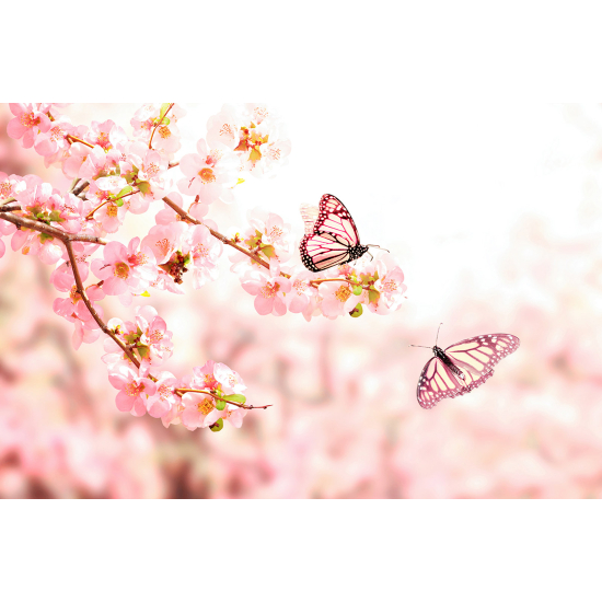 Papel pintado panorámico - Flores Mariposas