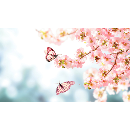 Papel pintado panorámico - Flores Mariposas