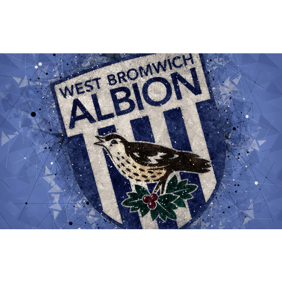 Papel pintado panorámico Foot / Fútbol - ALBION