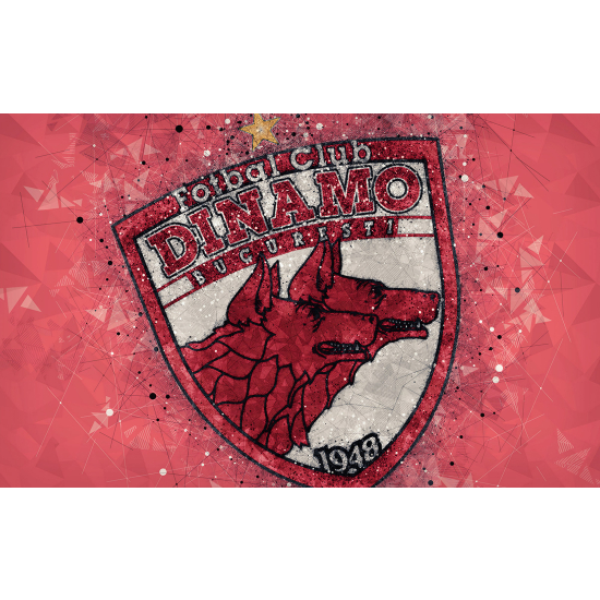 Papel pintado panorámico Foot / Fútbol - DINAMO