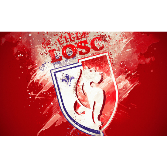 Papel pintado panorámico Foot / Fútbol - LOSC - Lille