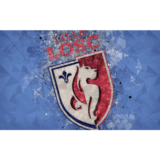 Papel pintado panorámico Foot / Fútbol - LOSC - Lille