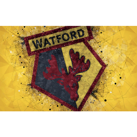 Papel pintado panorámico Foot / Fútbol - WATFORD