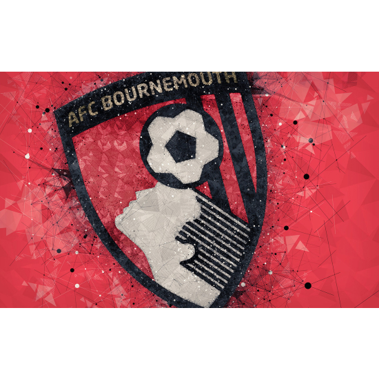 Papel pintado panorámico Fútbol / Fútbol - AFC Bournemouth