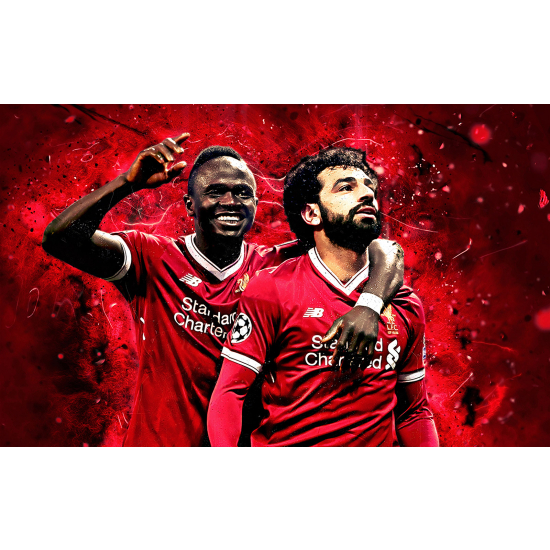 Papel pintado panorámico Fútbol - Jugadores de Fútbol