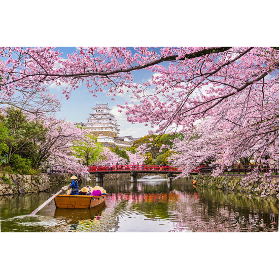 Papel pintado panorámico - Jardín Japonés