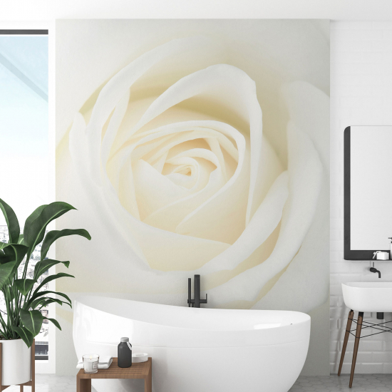 Papel pintado panorámico - La rosa