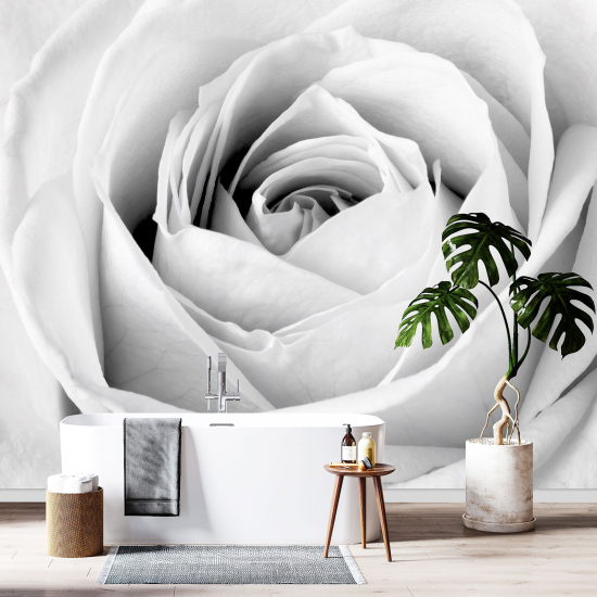 Papel pintado panorámico - La rosa