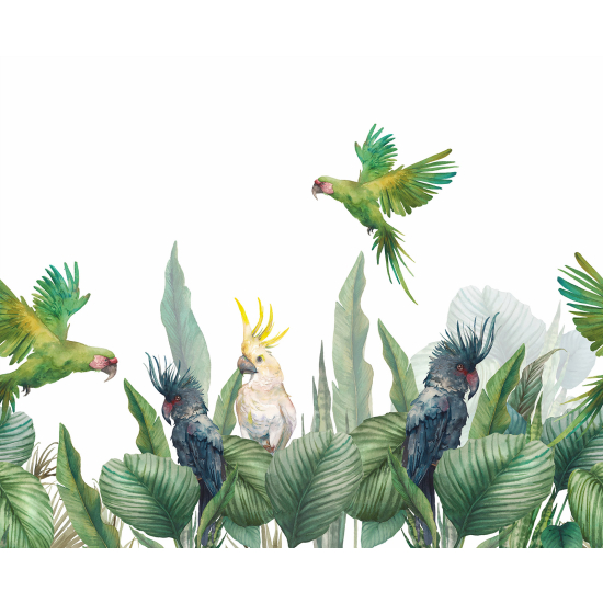 Papel pintado panorámico - Loros