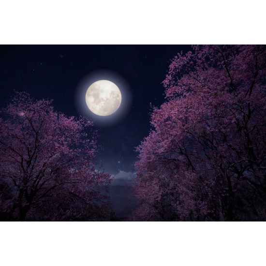 Papel pintado panorámico - Luna Llena