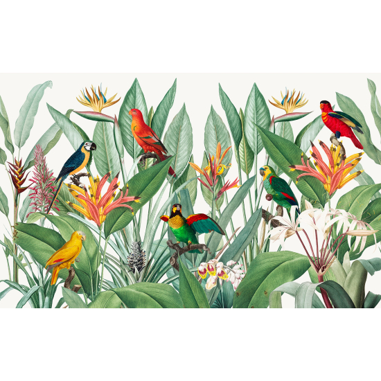 Papel pintado panorámico - Motivo Tropical