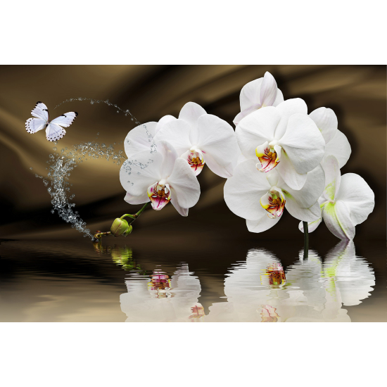 Papel pintado panorámico - Orquídeas