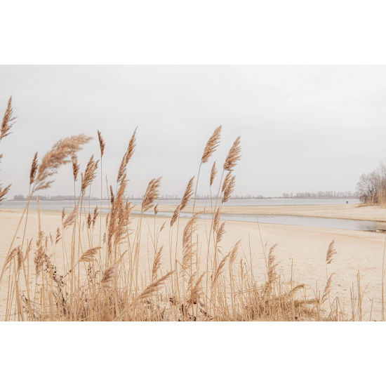 Papel pintado panorámico - Pampas