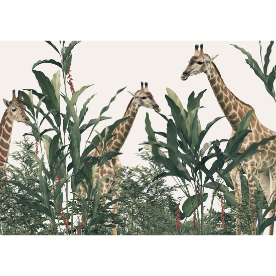 Papel pintado panorámico para niños - Infantil - Jirafas