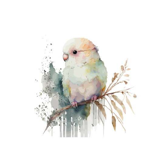 Papel pintado panorámico para niños - Infantil - Loro