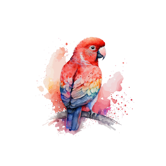 Papel pintado panorámico para niños - Infantil - Loro