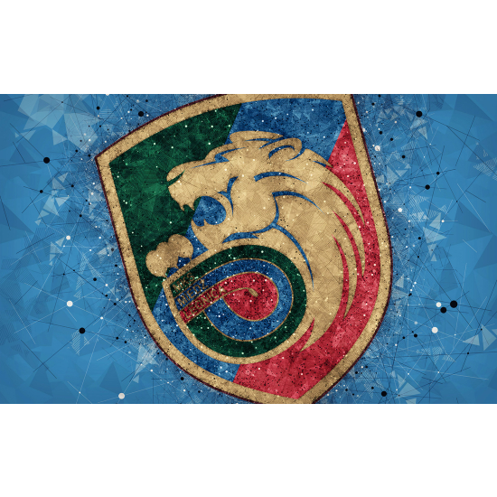 Papel pintado panorámico Pie / Fútbol