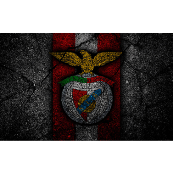 Papel pintado panorámico Pie / Fútbol - Benfica Lisboa