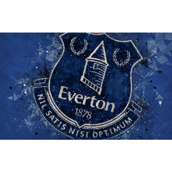 Papel pintado panorámico Pie / Fútbol - Everton