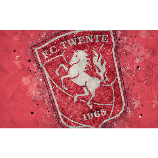 Papel pintado panorámico Pie / Fútbol - FC Twente