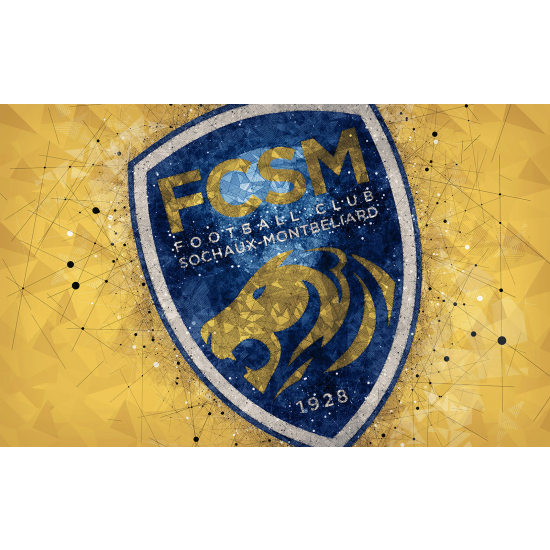 Papel pintado panorámico Pie / Fútbol - FCSM - Sochaux-Montbéliard