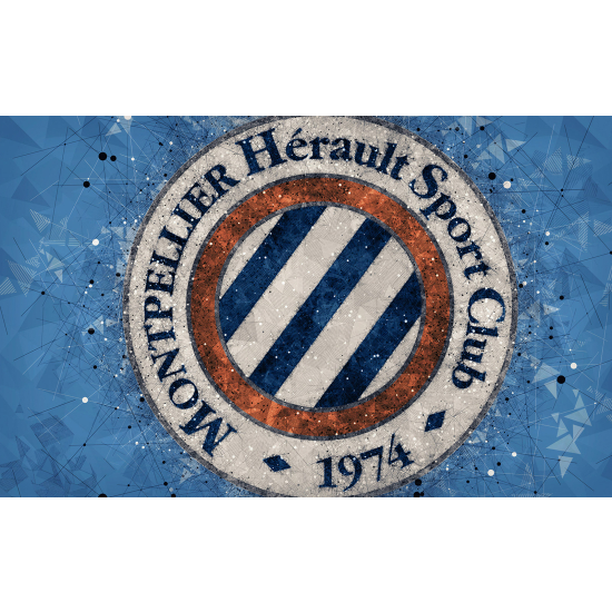 Papel pintado panorámico Pie / Fútbol - Montpellier Hérault Sport Club
