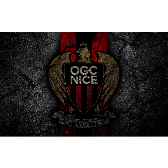 Papel pintado panorámico Pie / Fútbol - OGC Niza