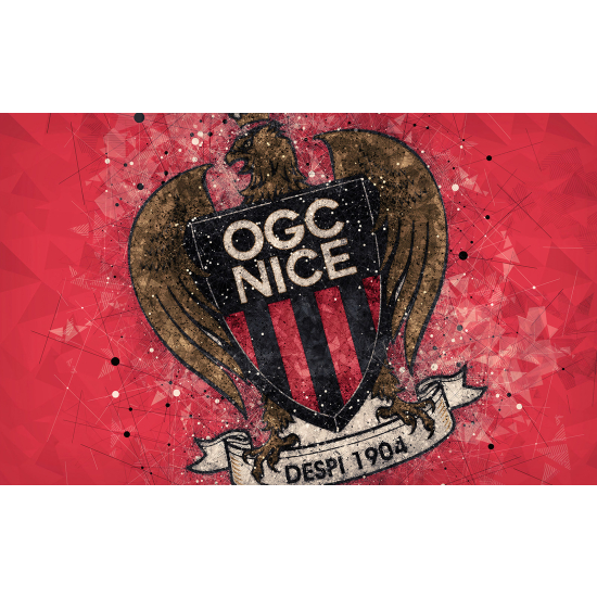 Papel pintado panorámico Pie / Fútbol - OGC Niza