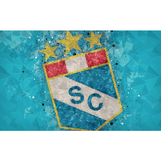 Papel pintado panorámico Pie / Fútbol - SC