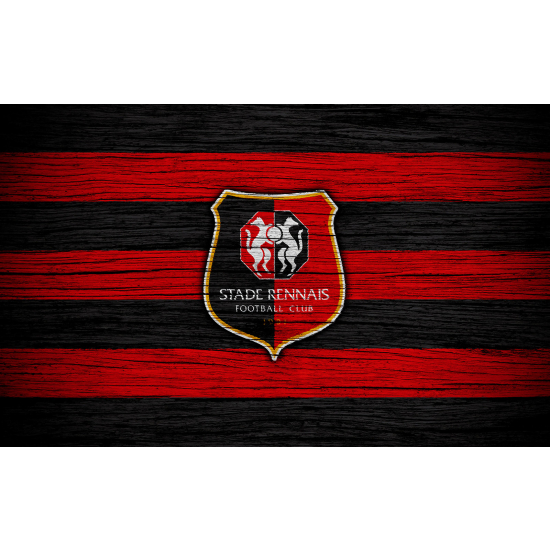 Papel pintado panorámico Pie / Fútbol - Stade Rennais