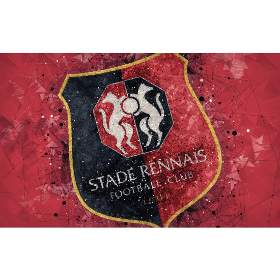 Papel pintado panorámico Pie / Fútbol - Stade Rennais