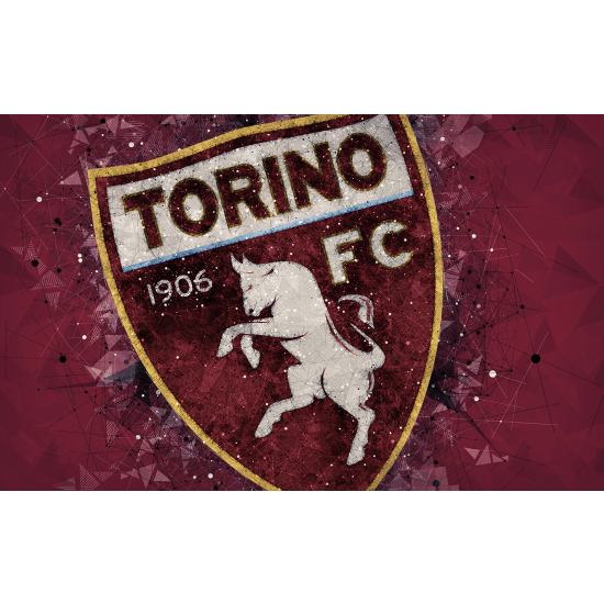 Papel pintado panorámico Pie / Fútbol - TORINO FC