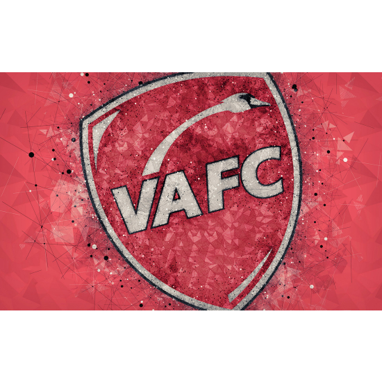 Papel pintado panorámico Pie / Fútbol - VA FC - Club de Fútbol Valenciennes
