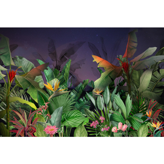 Papel pintado panorámico - Plantas tropicales