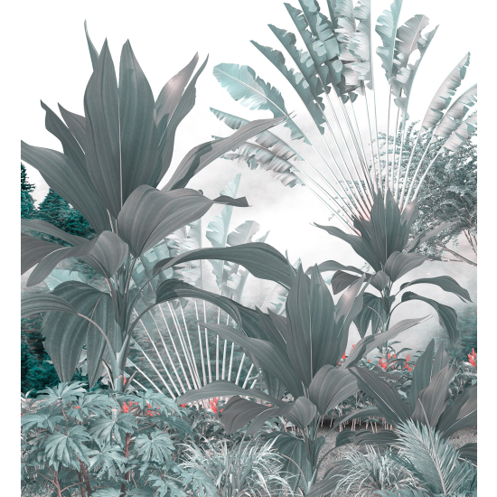 Papel pintado panorámico - Plantas Tropicales