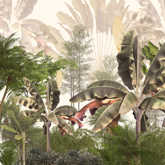 Papel pintado panorámico - Plantas Tropicales