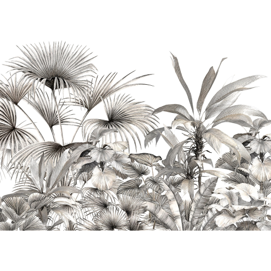 Papel pintado panorámico - Plantas Tropicales