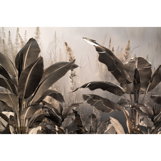 Papel pintado panorámico - Plantas Tropicales