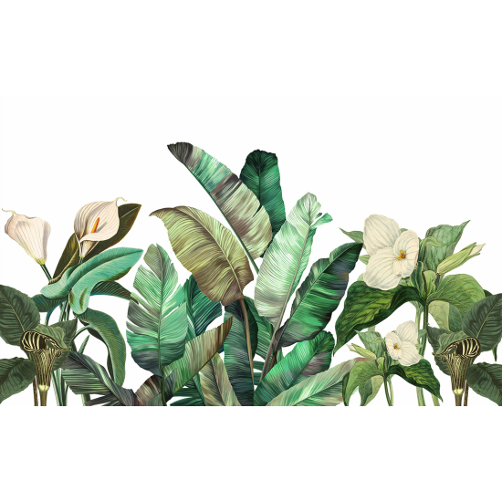 Papel pintado panorámico - Plantas tropicales