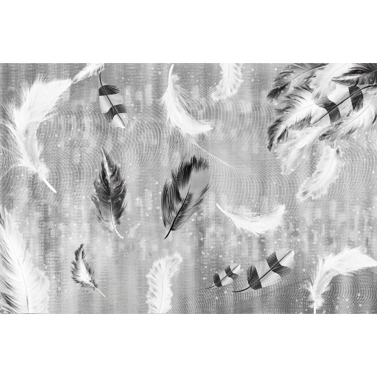 Papel pintado panorámico - Plumas