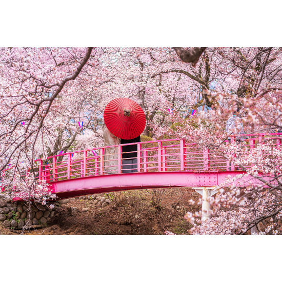 Papel pintado panorámico - Puente Japonés