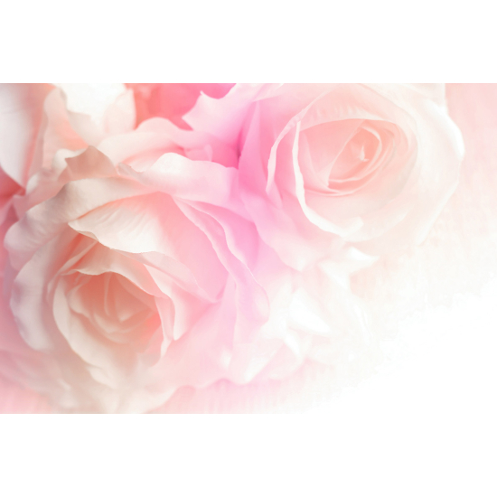 Papel pintado panorámico - Rosas
