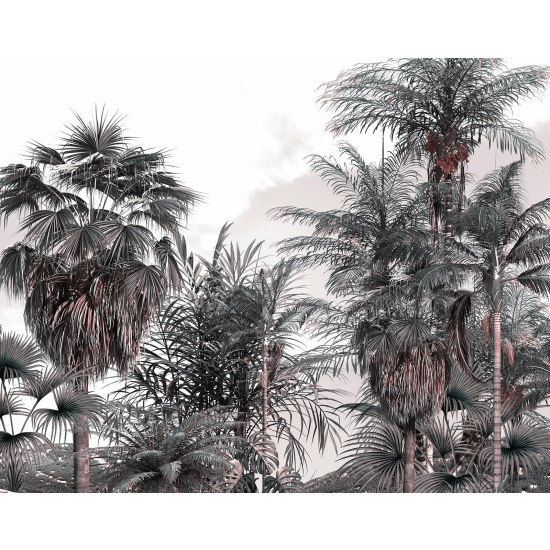 Papel pintado panorámico - Selva Tropical