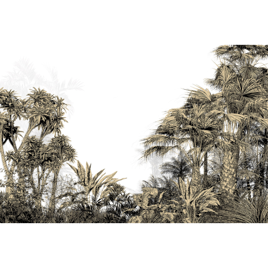 Papel pintado panorámico - Selva Tropical