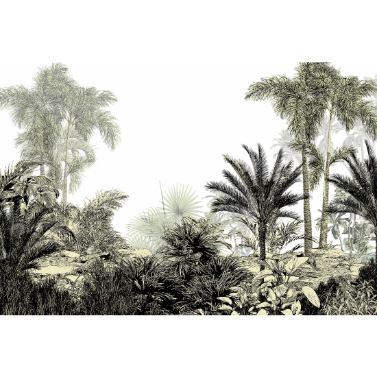 Papel pintado panorámico - Selva Tropical
