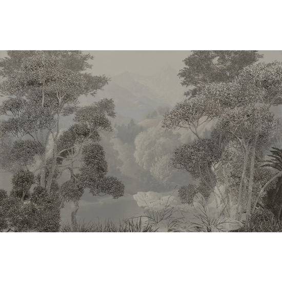 Papel pintado panorámico - Selva Tropical