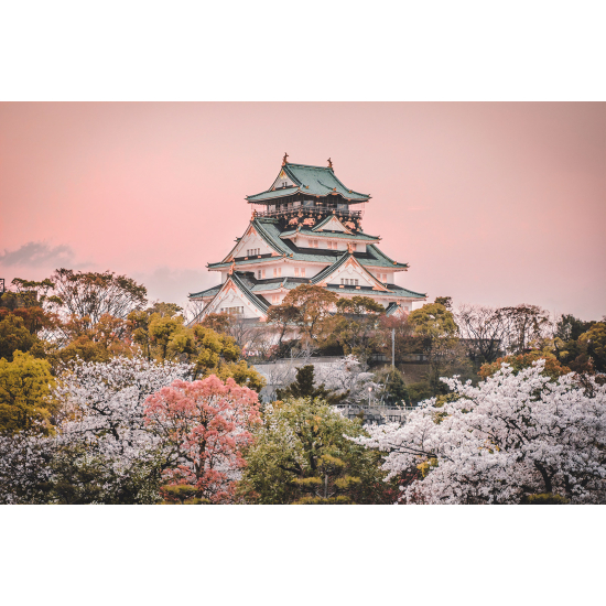 Papel pintado panorámico - Templo Japonés