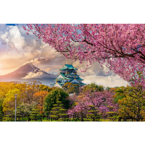 Papel pintado panorámico - Templo Japonés